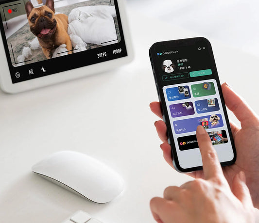 Breaking Boredom: How Video Calling Your Dog is Changing the Way We Stay Connected